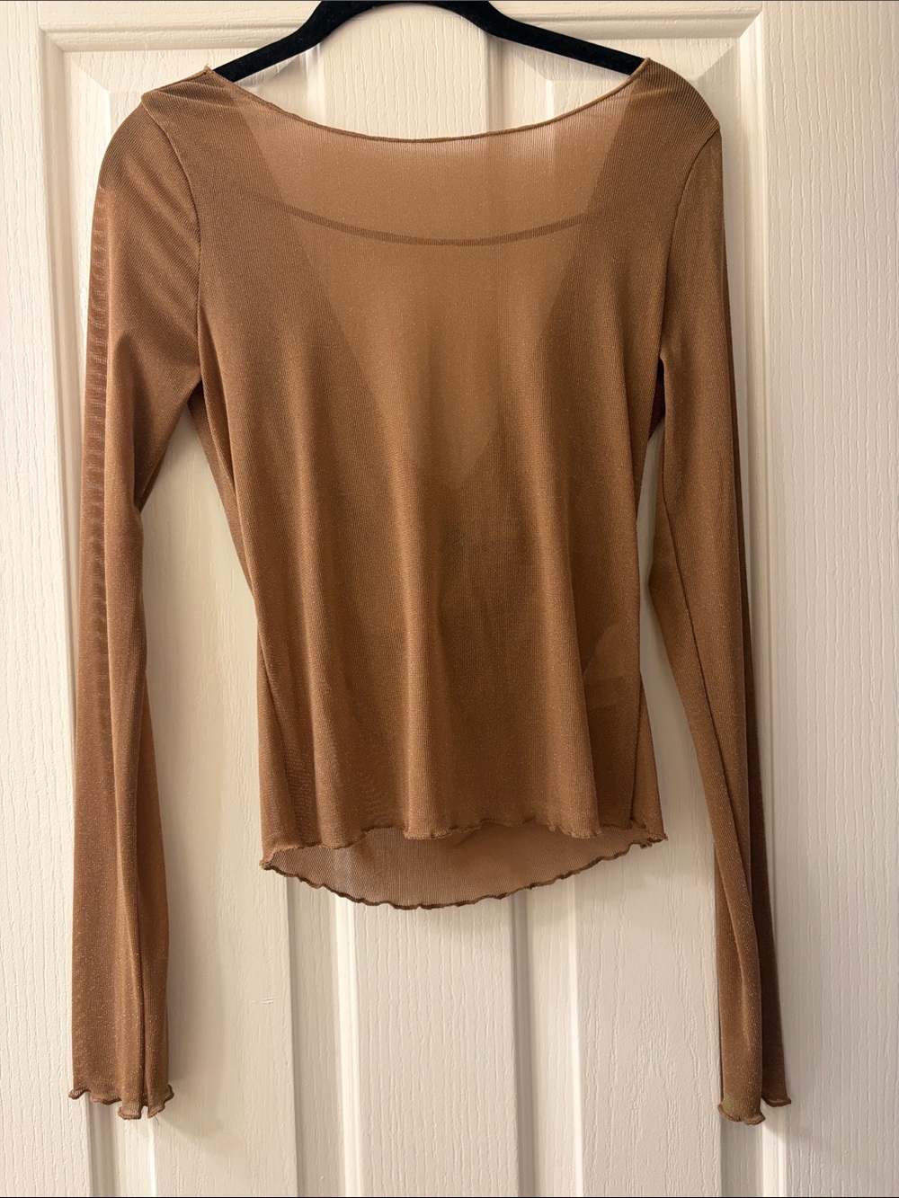 emory park Sheer Long-Sleeve Scoop Neck Top in Camel Brown